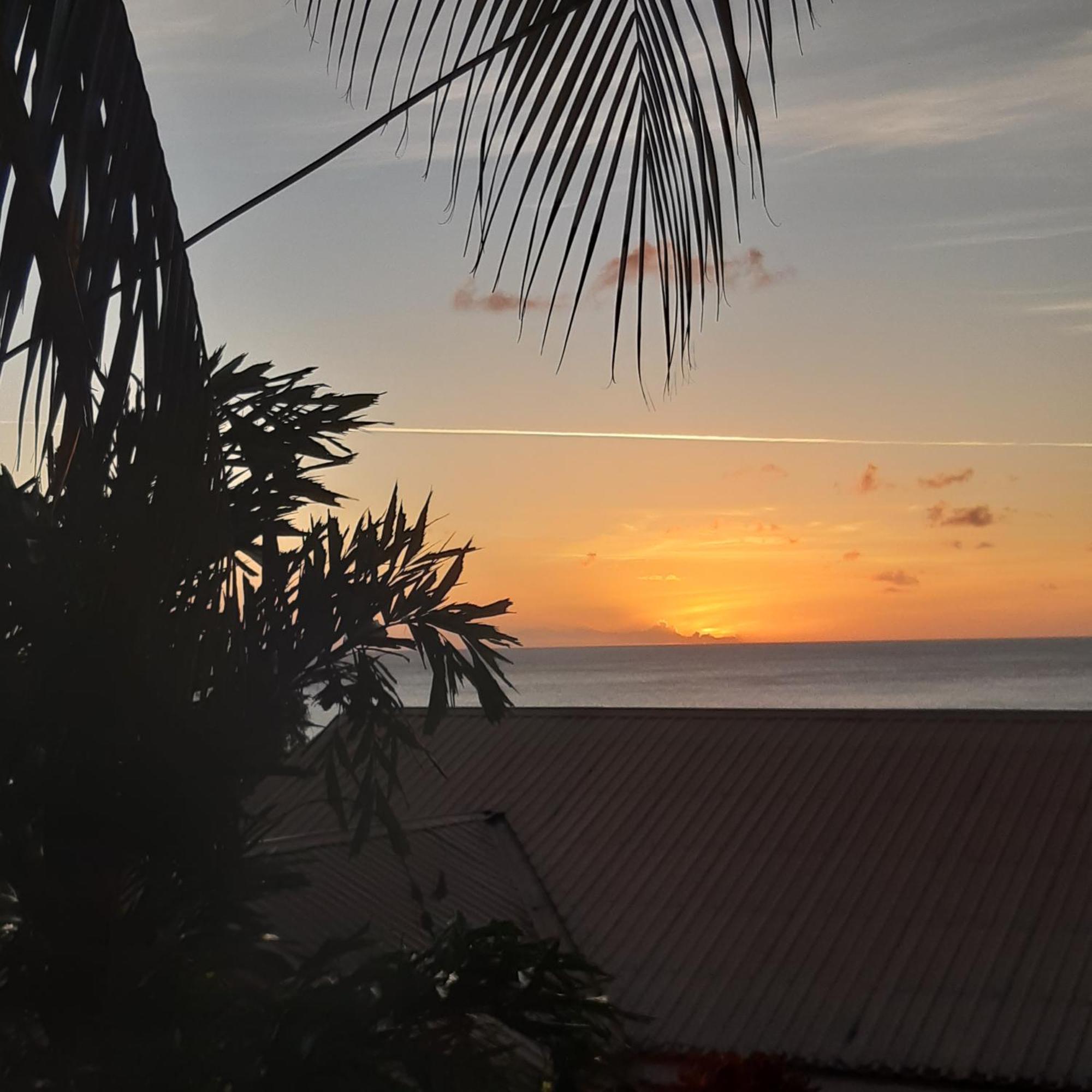 Palm Cottage Castries Exterior photo