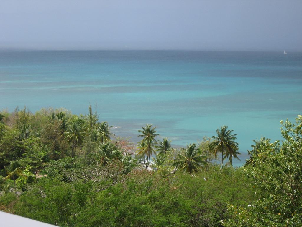 Palm Cottage Castries Exterior photo