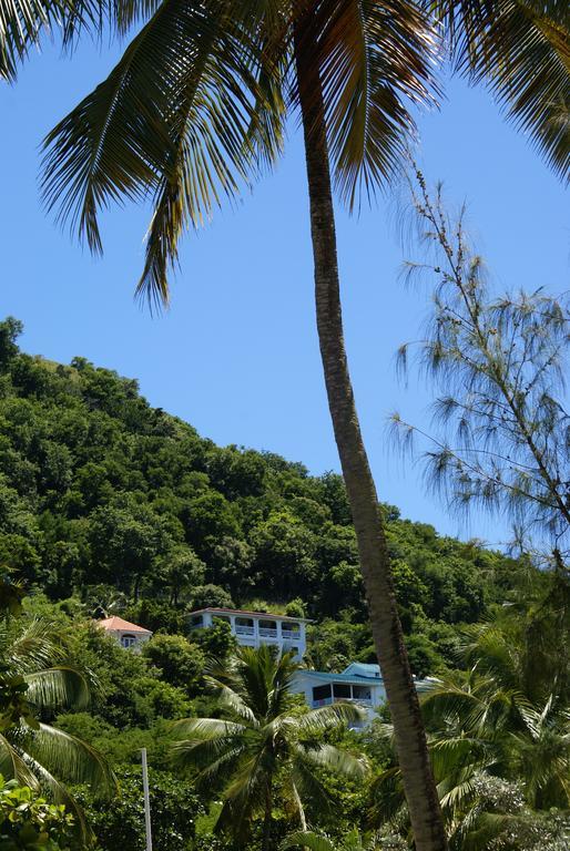 Palm Cottage Castries Exterior photo