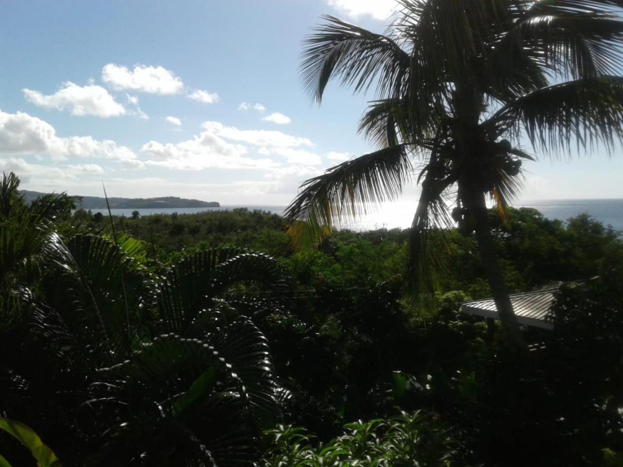 Palm Cottage Castries Exterior photo